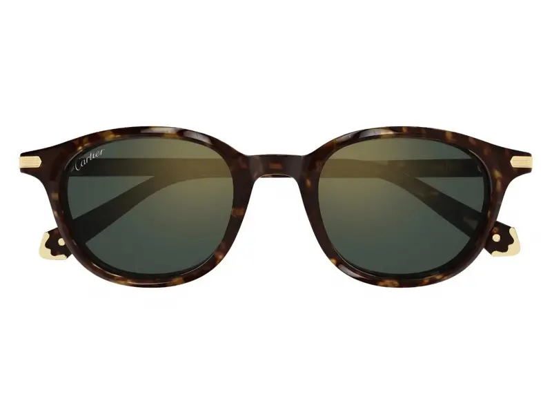 Cartier CT0541SA 006