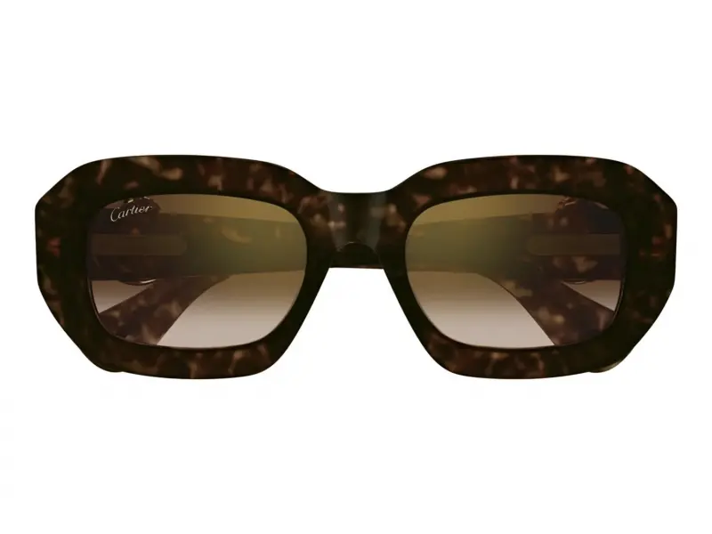 Cartier CT0546S 002