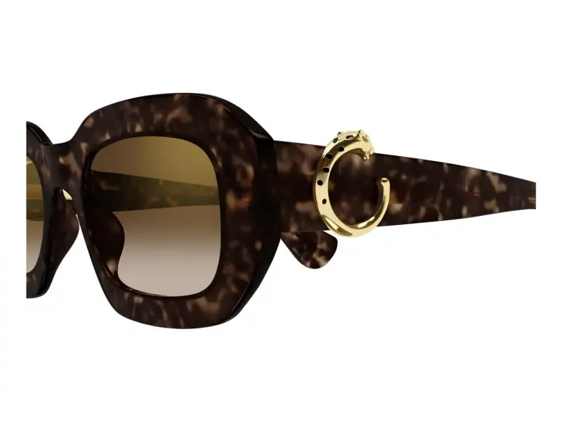 Cartier CT0546S 002
