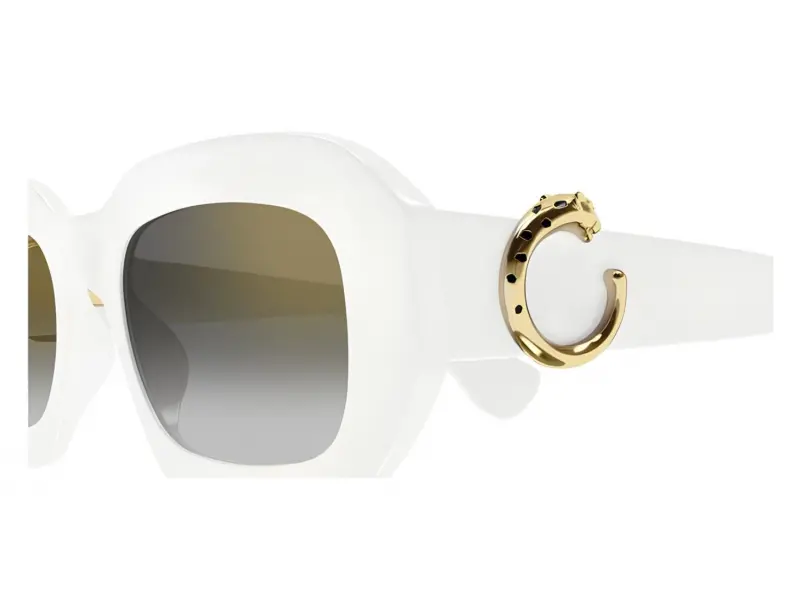 Cartier CT0546S 003