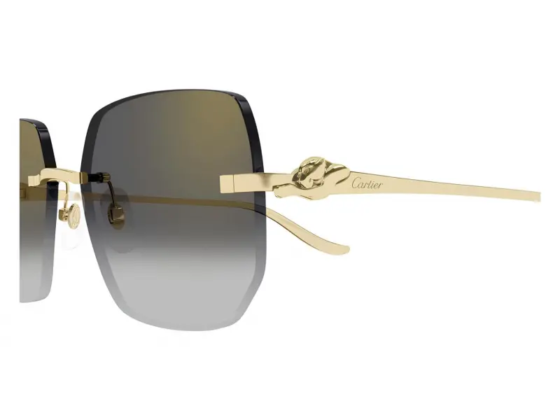Cartier CT0549S 001
