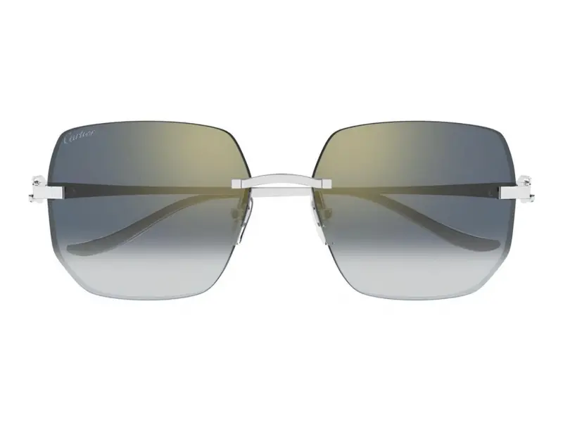 Cartier CT0549S 003
