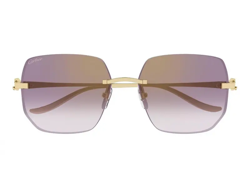 Cartier CT0549S 004