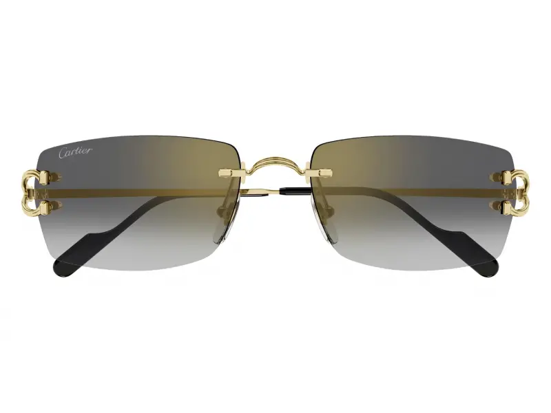 Cartier CT0550S 001