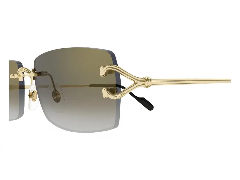 Cartier CT0550S 001