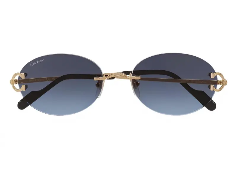 Cartier CT0551S 002