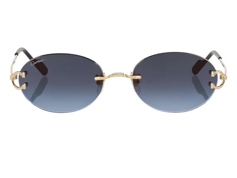 Cartier CT0551S 002