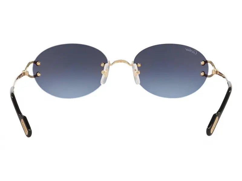 Cartier CT0551S 002