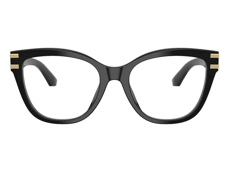 Dolce & Gabbana 3418 501 53