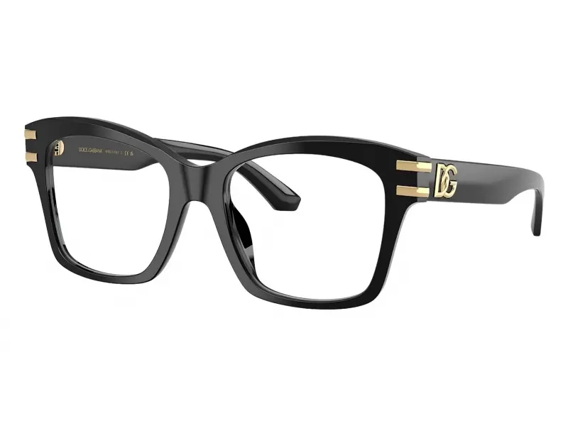 Dolce & Gabbana 3419 501 52