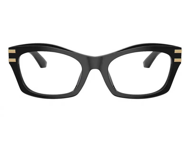 Dolce & Gabbana 3420 501 54