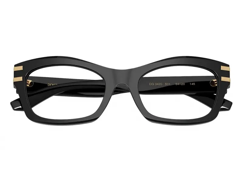 Dolce & Gabbana 3420 501 54