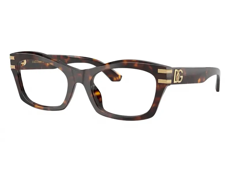 Dolce & Gabbana 3420 502 54