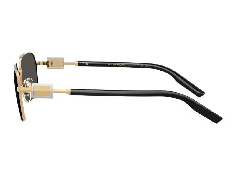 Dolce & Gabbana DG 2316 02/87 56