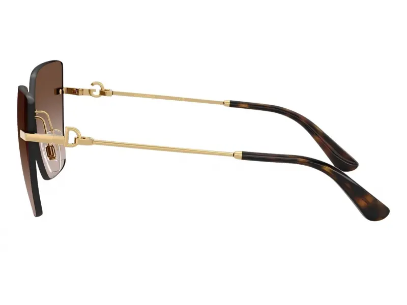 Dolce & Gabbana DG 2321 62