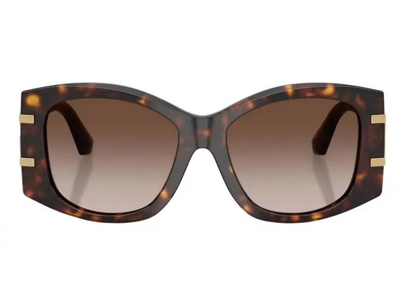 Dolce & Gabbana DG 4501 502/13 54