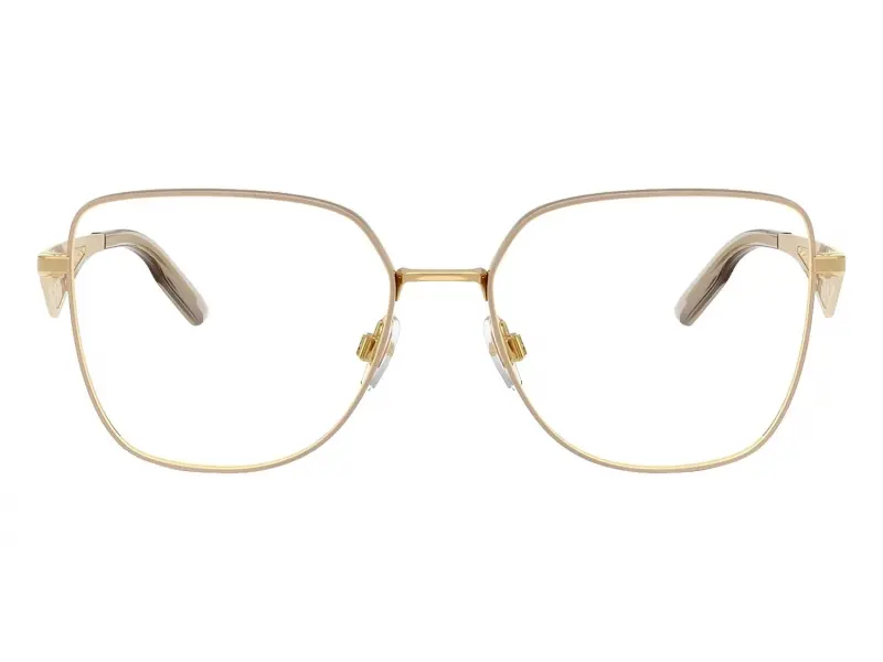 Dolce & Gabbana DG1358 2 54