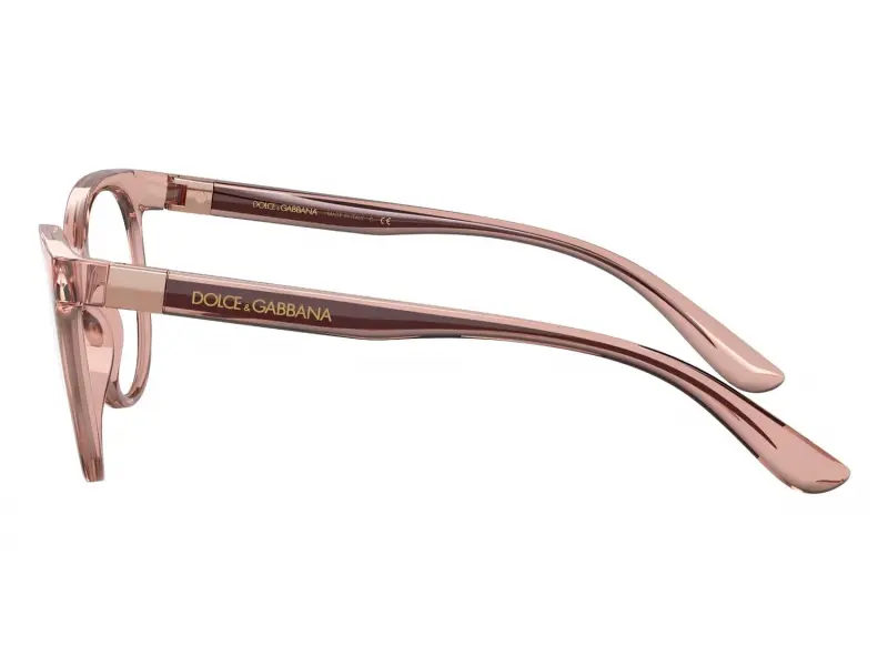 Dolce & Gabbana DG5084 3148 55