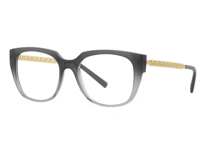 Dolce & Gabbana DG5087 3385 53