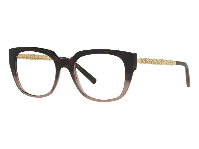 Dolce & Gabbana DG5087 3386 53