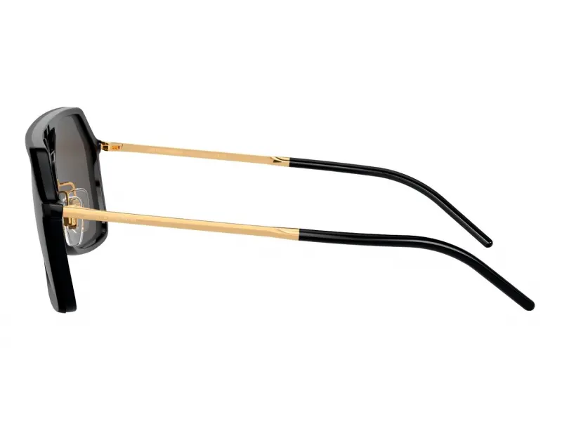 Dolce & Gabbana DG6196 252587 59