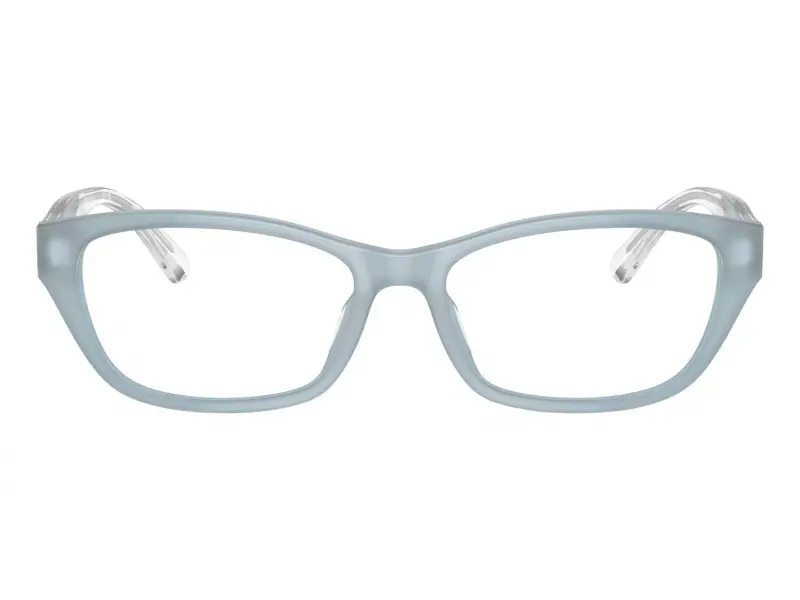 Emporio Armani 3238U 6096 52