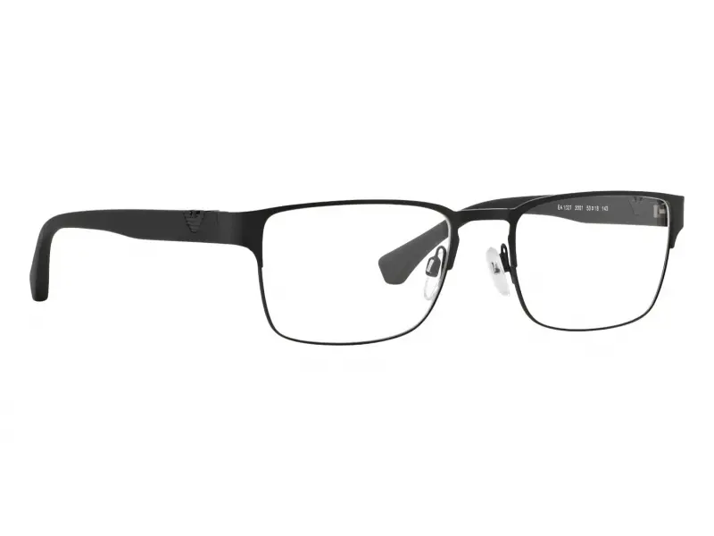 Emporio Armani EA1027 3001 55