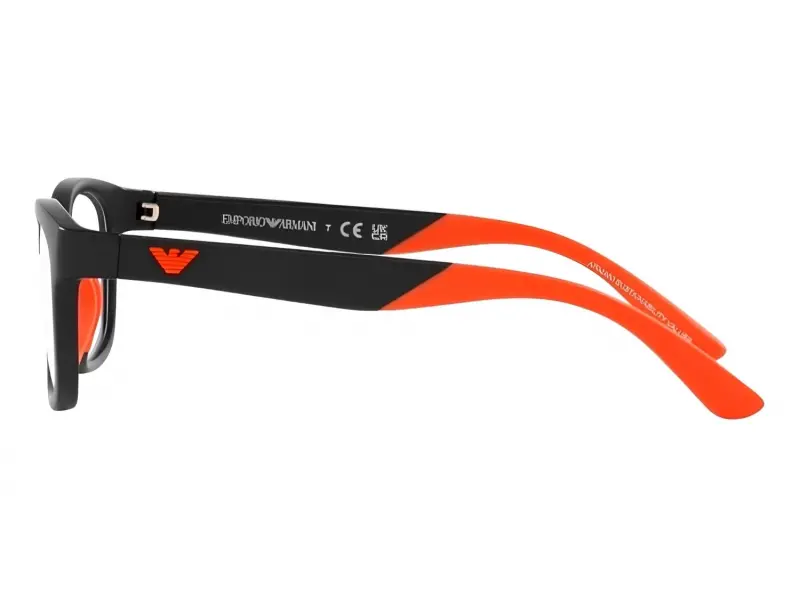 Emporio Armani EA3001 5001 49