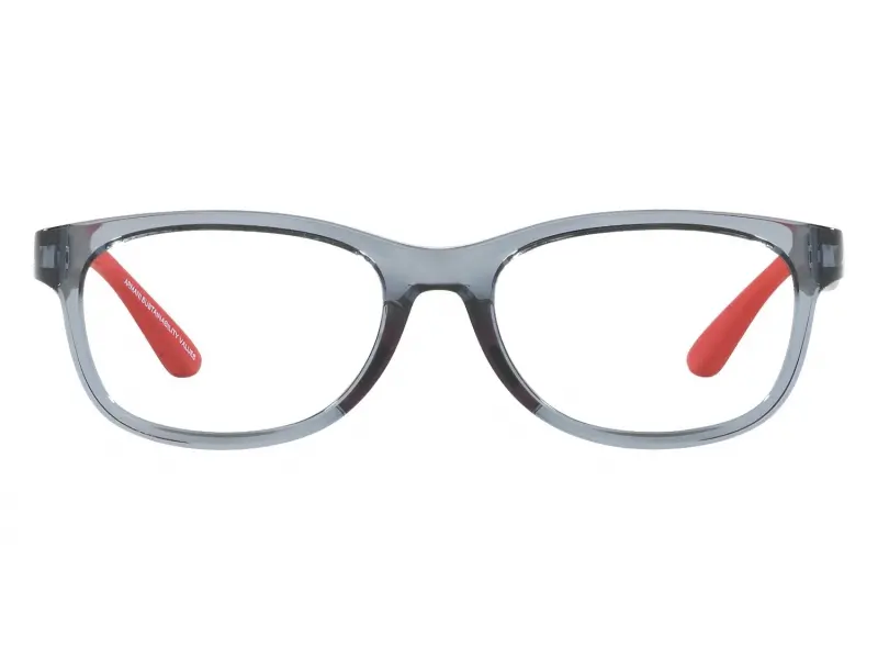 Emporio Armani EA3001 5072 49