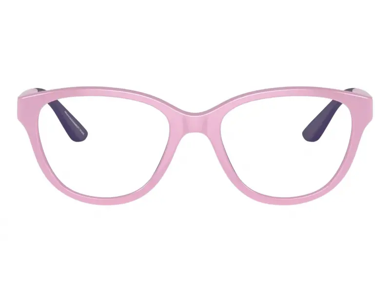 Emporio Armani EA3002 6016 47