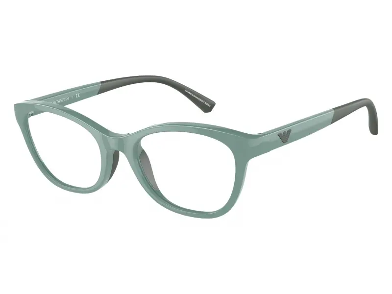 Emporio Armani EA3204 5333 46