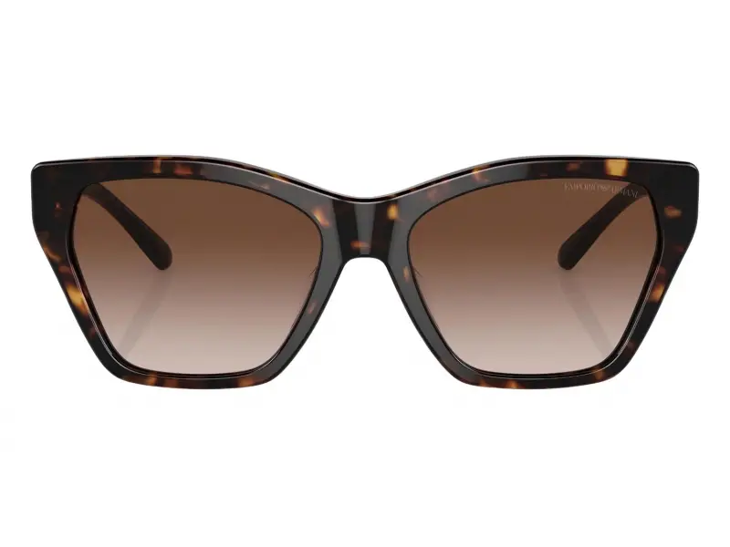 Emporio Armani EA4203 502613 55