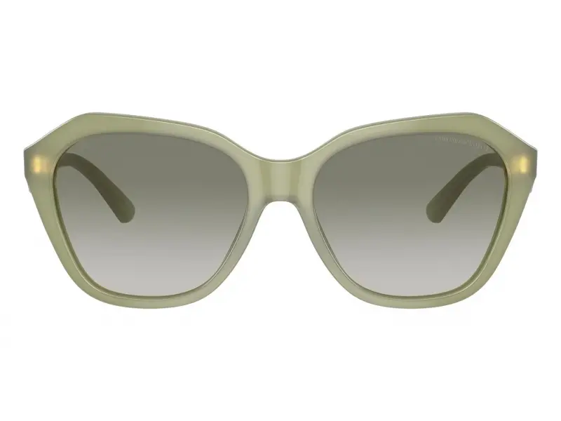 Emporio Armani EA4221 61168E 56