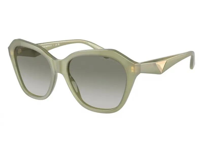 Emporio Armani EA4221 61168E 56