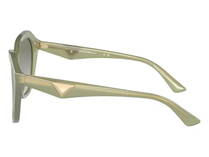 Emporio Armani EA4221 61168E 56