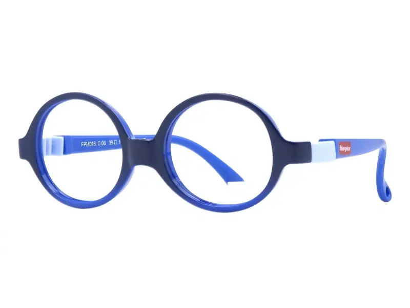 Fisher Price FPM016 C06