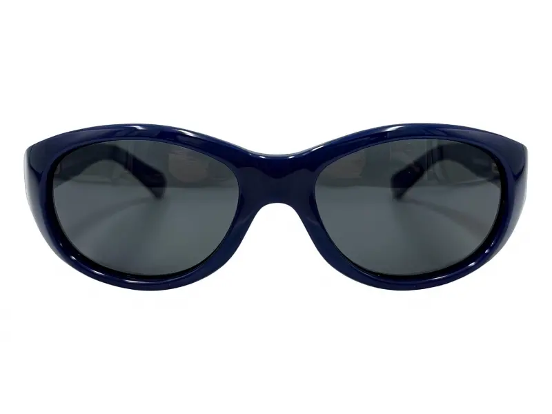 Fisher Price FPV71 BLU