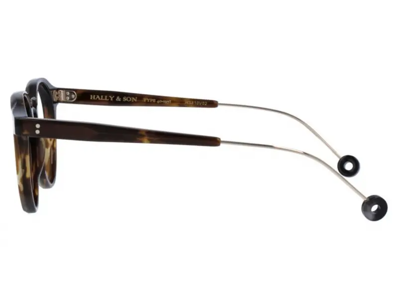 Hally and Son HS810 V02