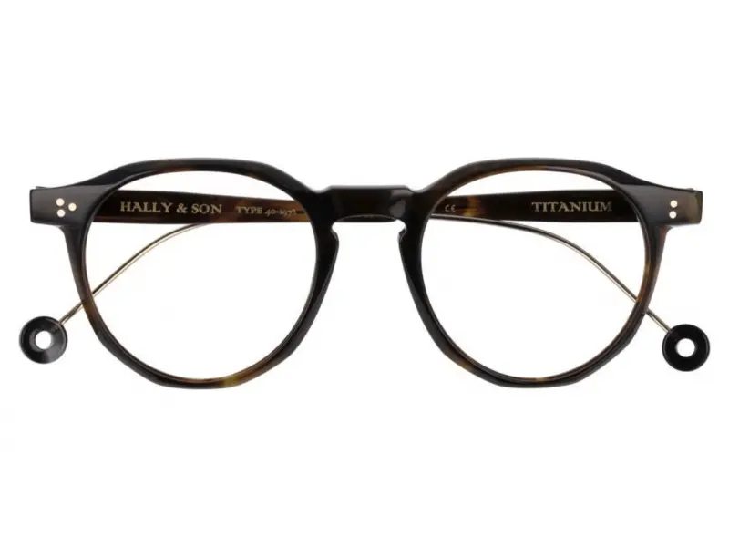 Hally and Son HS810 V02