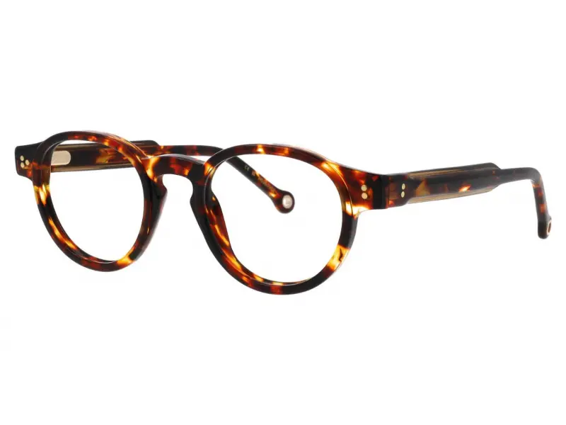 Hally and Son HS960 V02