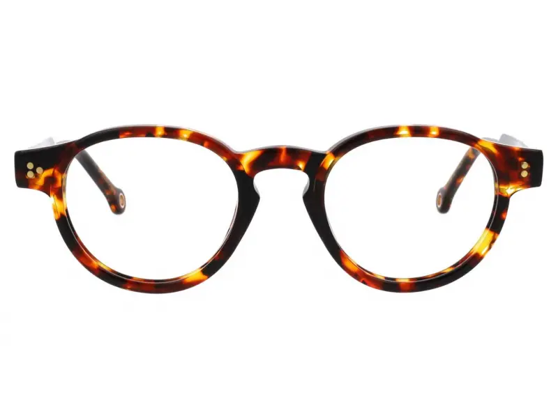 Hally and Son HS960 V02