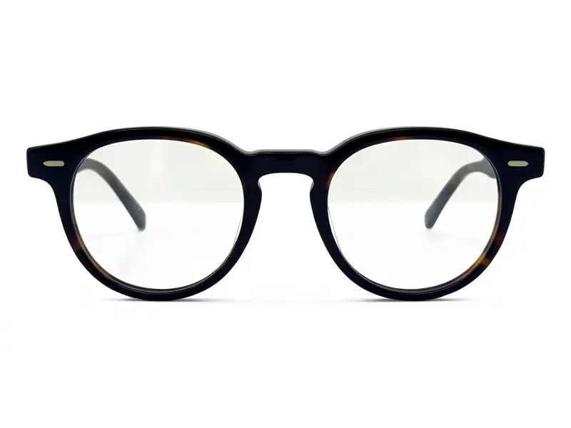 Hally & Son HS810 V02