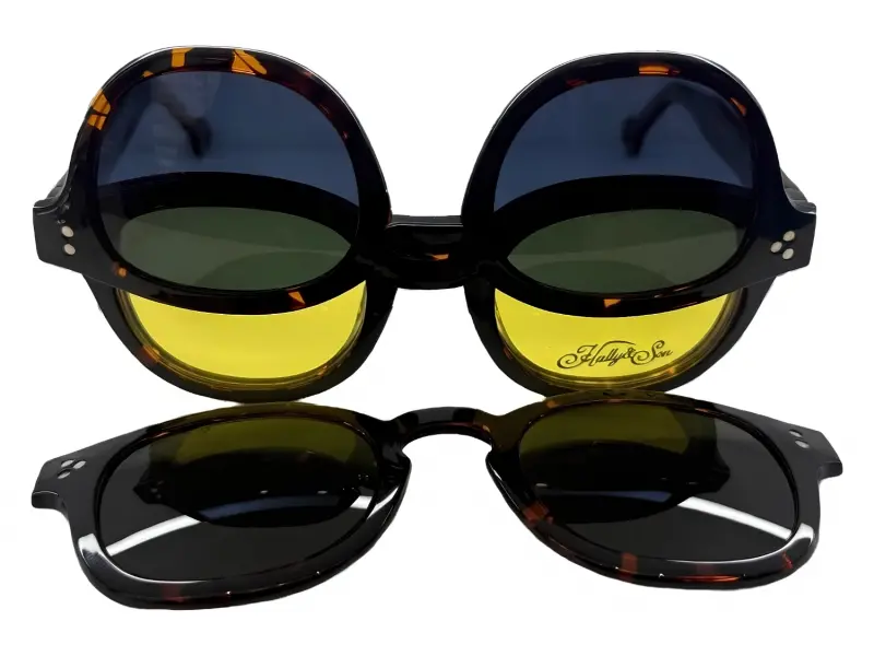 Hally & Son HS818 V02