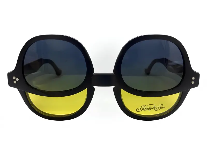 Hally & Son HS818 V03