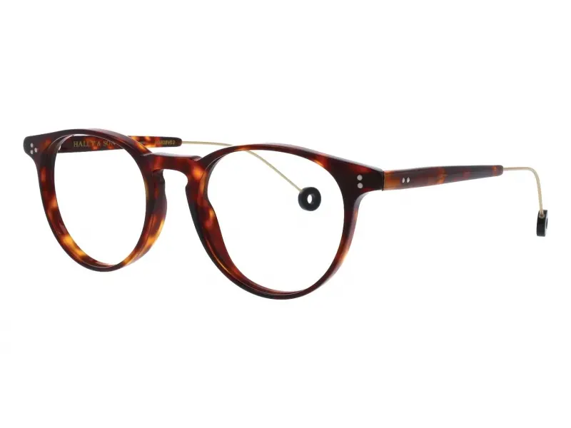 Hally & Son HS828 V02