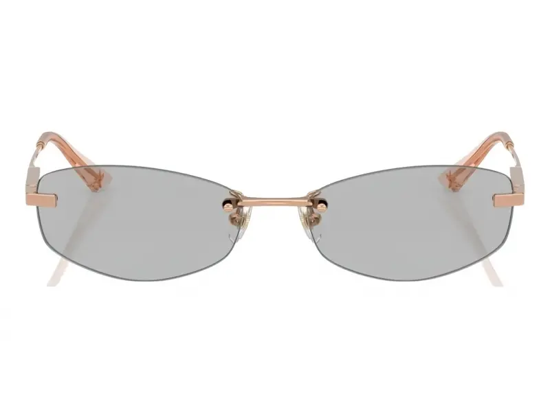 Jimmy Choo 4013D 300887 - 57