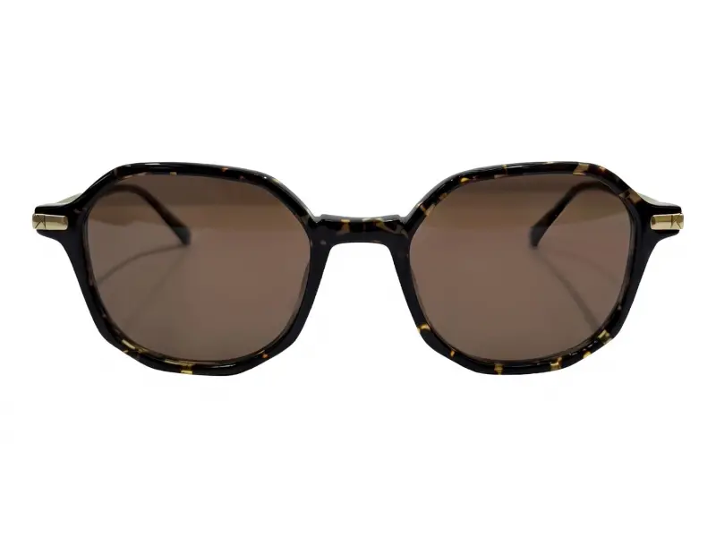 Kyme Hectos Col. 02 49