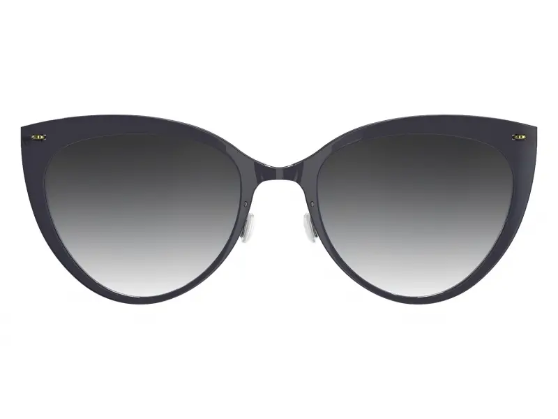Lindberg 8311 SL20 CO6 PGT 52803