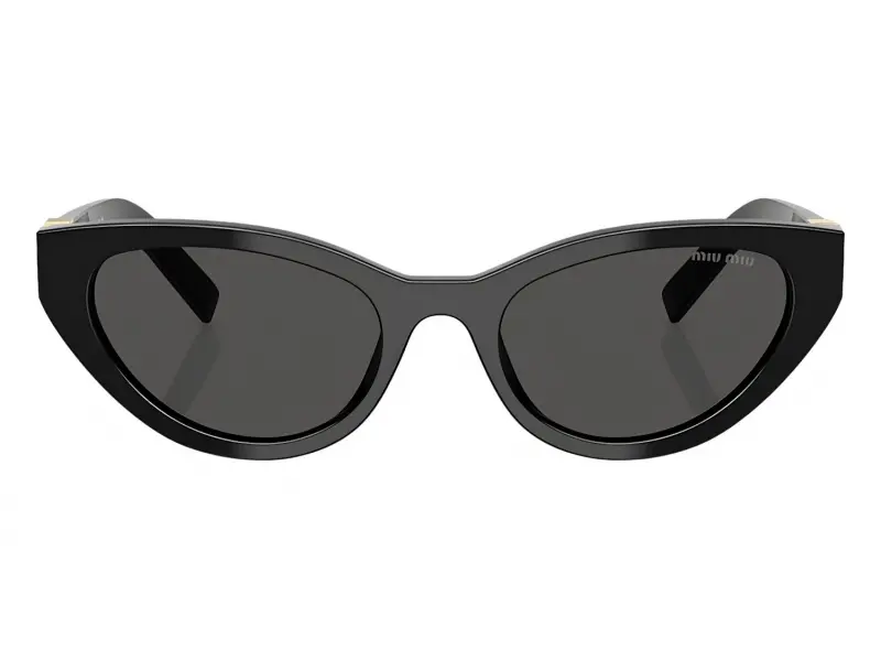 Miu Miu A04S 16K08Z 54