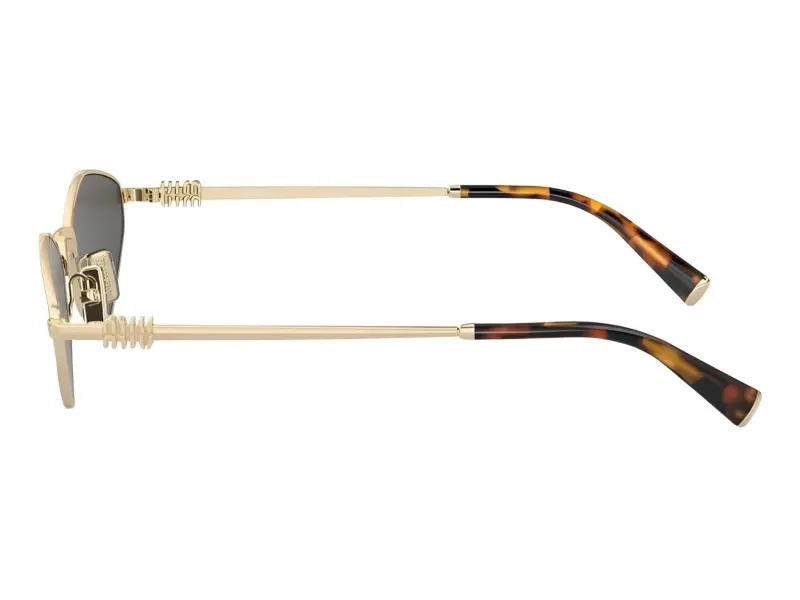 Miu Miu MU56ZS ZVN5S056